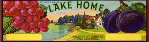Lake Home